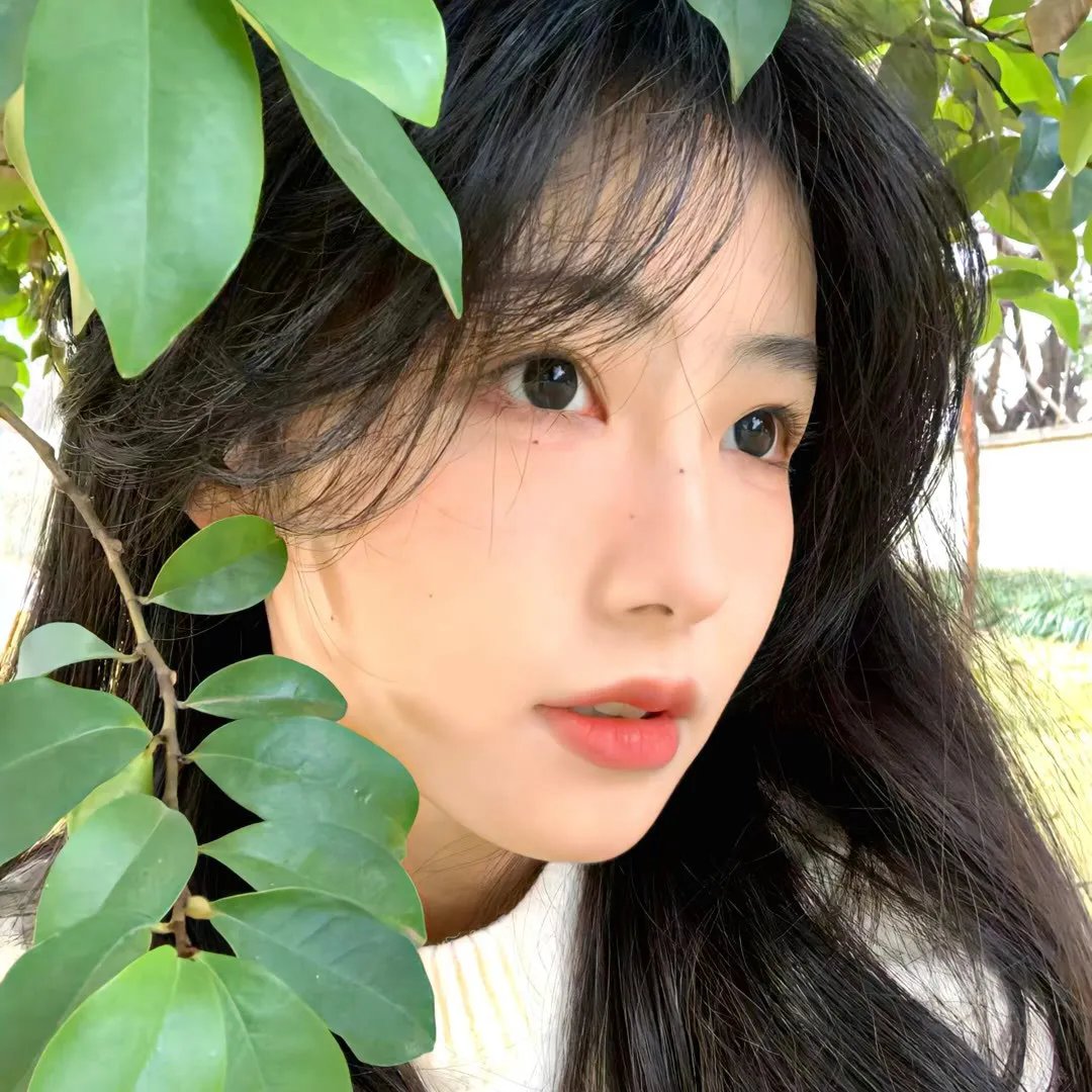 弱者的理由
